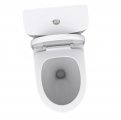 Mikikit 2 Pcs Toilet Lid Button Dual Push Ys Flush Tank Replacement Mansfield Parts Pusher Wc The Supplies White Plastic Oval