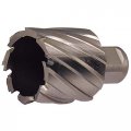 Annular Cutter High Speed Steel Bright Uncoated 7 16 In Weldon Shank 4thd2 