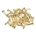 35pcs Small Tiny Nails 2 8x15mm Dxl Brass Hardware Round Head Nail For Wooden Diy Projects Decorative Boxes Household Tone 