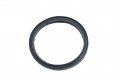 Polaris Seal-thermostat Qty 1 