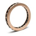 Transmaxx Borgwarner Sprag Forward Clutch