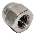10 Pc Left Hand Thread 1 4 Stainless Steel 316 Cap Acorn Hex Nut Unc Marine 