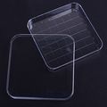 Bcp 10 Pcs 36 Grid Squares Plastic Petri Dishes With Cover 100 X100mm Sterile 