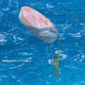 Graphics More If Pigs Could Fly Pink Clouds Wings Floating Keychain Oval Foam Fishing Boat Buoy Key Float