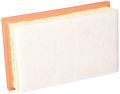 Ecogard Xa10318 Premium Air Filter 
