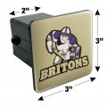 Albion College Secondary Logo Tow Trailer Hitch Cover Plug Insert 2