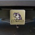 Albion College Secondary Logo Tow Trailer Hitch Cover Plug Insert 2