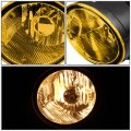 Auto Dynasty Fog Lights Assembly For 2000-2004 Sentra 2001-2004 Frontier Front Bumper Driving Lamps W Switch Driver And 