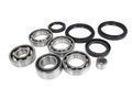 Rear Differential Bearings And Seals Kit Arctic Cat 450i Trv Gt Efi 2012 
