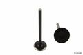 Aftermarket Czb-002e Engine Exhaust Valve 