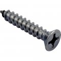 Waterway Plastics 8061036381 12 X 1 1 4 Pfh Pgh Screw 