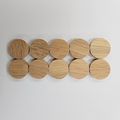 Zipbolt Rail Bolt Accessory 10 Pack Tapered 1 Plug White Oak 