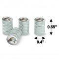Rainbow Trout Fishing 6 Valve Stem Caps For Tire Rim Wheel Aluminum