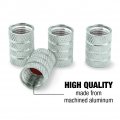 Rainbow Trout Fishing 6 Valve Stem Caps For Tire Rim Wheel Aluminum