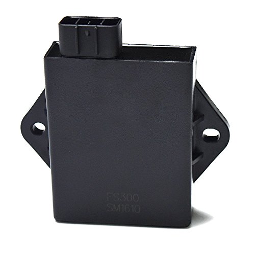8 Pin Cdi Box Unit For 250cc 260cc 300cc Atv Go Kart Buggy Fs300 Yamaha Linhai Tank Touring Manco Buyang Talon Scooter