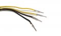 The Rop Shop Magneto Stator For Sea-doo Marine Jet Skis 290-886-726 420886725 420-886-725
