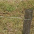 Plp Pde-18-125-14 Post Dead End For Use With Electric Fence 19-1 4 In Steel Galvanized 