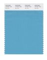Pantone Smart 16-4421x Color Swatch Card Blue Mist 