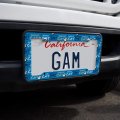 Friends Smelly Cat Song License Plate Tag Frame