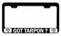 Tarpon Fishing Black Metal License Plate Frame Tag Holder Universal Fit For Us And Canada Cars Trucks Suvs Stainless Steel 12 5 