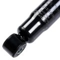 Front Shock Absorbers For Honda Passport 98 02 Isuzu Amigo 00 Rodeo 04 And Axiom Fits 3498 37159 Pair Of 2 Pieces