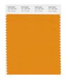 Pantone Smart 15-1150x Color Swatch Card Dark Cheddar 