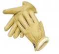 Radnor Medium Tan Pigskin Thinsulate Lined Cold Weather Gloves With Keystone Thumb Slip On Cuffs Color Coded Hem And Shirred 