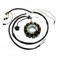 Tcmt Magneto Stator Coil Fit For Polaris Sportsman 700 Carb 2002-2003 12-poles 2004