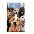 Dog Switch Plate Silly Selfie Decorative Cover For Home Da Cor Switchplate 