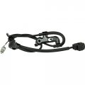 Aip Electronics Abs Anti-lock Brake Wheel Speed Sensor Compatible With 2002-2010 Toyota Avalon Camry And Solara Rear Left