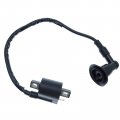 Holdwell New Ignition Coil For Polaris Sportsman 90 2001 2002 2003 2004 2005 2006