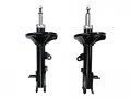 Rear Strut Assembly Kit Set Of 2 Left And Right For 2004-2009 Kia Spectra 