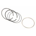Piston Rings For Chevy Caprice 1990 With Top Second And Oil Ring Standard Style Olx-acd88894219-cl360a53