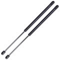 Trunk Struts Shocks Lift Supports Gas Springs For Ford Mustang 1994 2004 And Panoz Esperante 2001 2007 2pcs 19 09 In Extended 