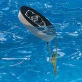 Graphics More Dead Fish Bones In Plastic Bottle Floating Keychain Oval Foam Fishing Boat Buoy Key Float