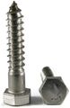 Hex Lag Screws 18-8 Stainless Steel 5 16 X Qty-25 
