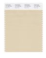 Pantone Smart 14-1108x Color Swatch Card Wood Ash 