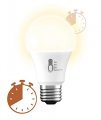 Led Timer Soft White A19 1-pack
