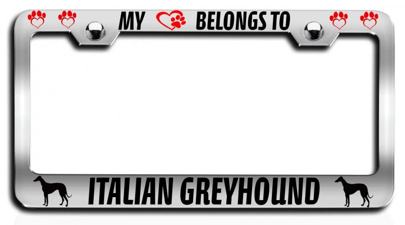 My Heart Belongs To Italian Greyhound Dogs Pets Chrome Metal License Plate Frame Tag Holder D78