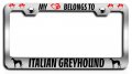 My Heart Belongs To Italian Greyhound Dogs Pets Chrome Metal License Plate Frame Tag Holder D78