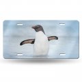 Fehuew Rockhopper Penguin License Plate Front Car Decorative Novelty Auto Tag Vanity Gift Metal Aluminum For Women Man 12x6 
