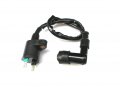 Ignition Coil For Honda Trx 300 Fourtrax 1988 1995-2000