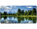 Mountain Scene License Plate 