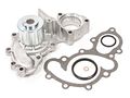 Evergreen Tbk157wpt For 88-91 Lexus Es250 Toyota Camry 2 5 Dohc 2vzfe Timing Belt Kit Water Pump 