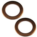 Engine Oil Drain Plug Gasket For Porsche Panamera 20 2016 2 Pieces Copper 0 75 Inside Diameter 0 95 In Outside Fits 
