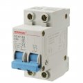 Uxcell 2 Poles 50a Ac400v Low-voltage Miniature Circuit Breaker Din Rail Mount Dz47-63 C50
