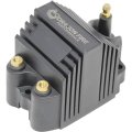 Aip Electronics Dragon Fire High Performance 12-volt To 65k Volt Ignition Coil Pack For All Hei Pro Billet Ready Run