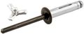 Allstar Performance All18082 Black 3 8 Aluminum Mandrel Tri-fold Rivet With Small Head Set Of 250 