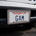 Fluttering Wind Dancers Pattern License Plate Tag Frame