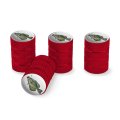 Crappie Fishing 6 Valve Stem Caps For Tire Rim Wheel Aluminum Red 